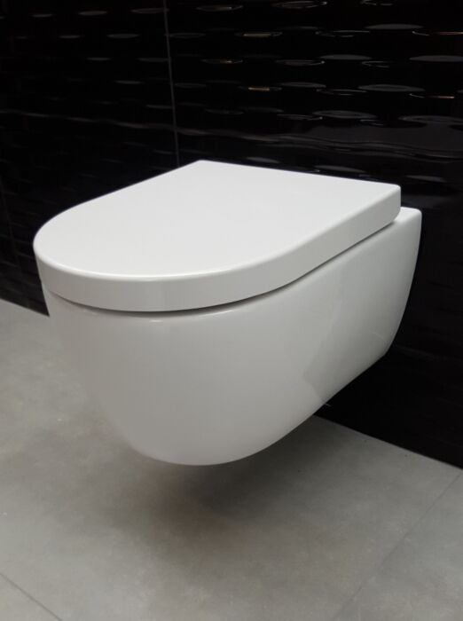 verwijzen Buitengewoon klif Sani Royal Hangend Toilet Wandcloset Standaard Rimfree 55 cm Easy Flush met  Softclose Zitting