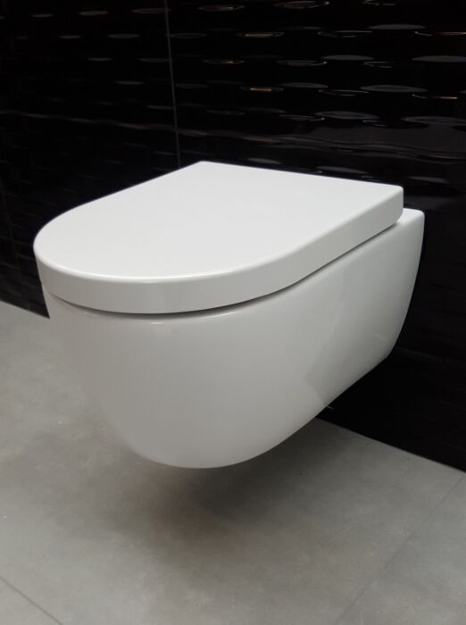verwijzen Buitengewoon klif Sani Royal Hangend Toilet Wandcloset Standaard Rimfree 55 cm Easy Flush met Softclose Zitting verwijzen Buitengewoon klif Sani Royal Hangend Toilet Wandcloset Standaard Rimfree 55 cm Easy Flush met Softclose Zitting
