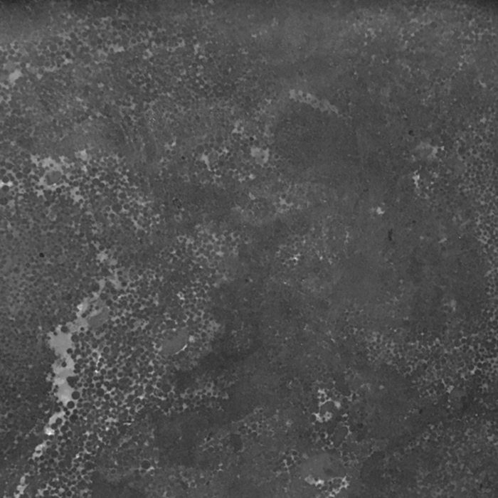 badkamermeubel trento greeploos met ronde kom 60 cm hoogglans antraciet