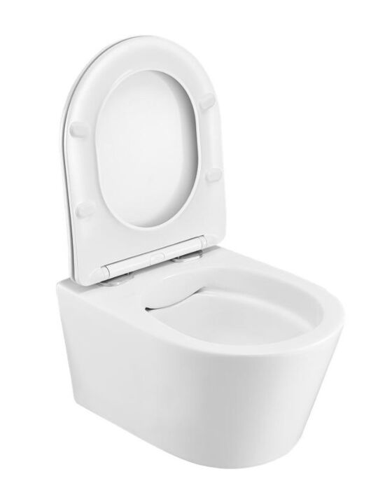 Sani Royal Hangend Toilet Wandcloset Flush Slim Rimfree 55 Easy Flush met Platte Softclose Zitting