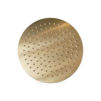 Douchekop Rond Goud 25 cm